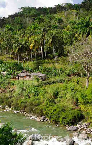 Parque Nacional A. Humbolt